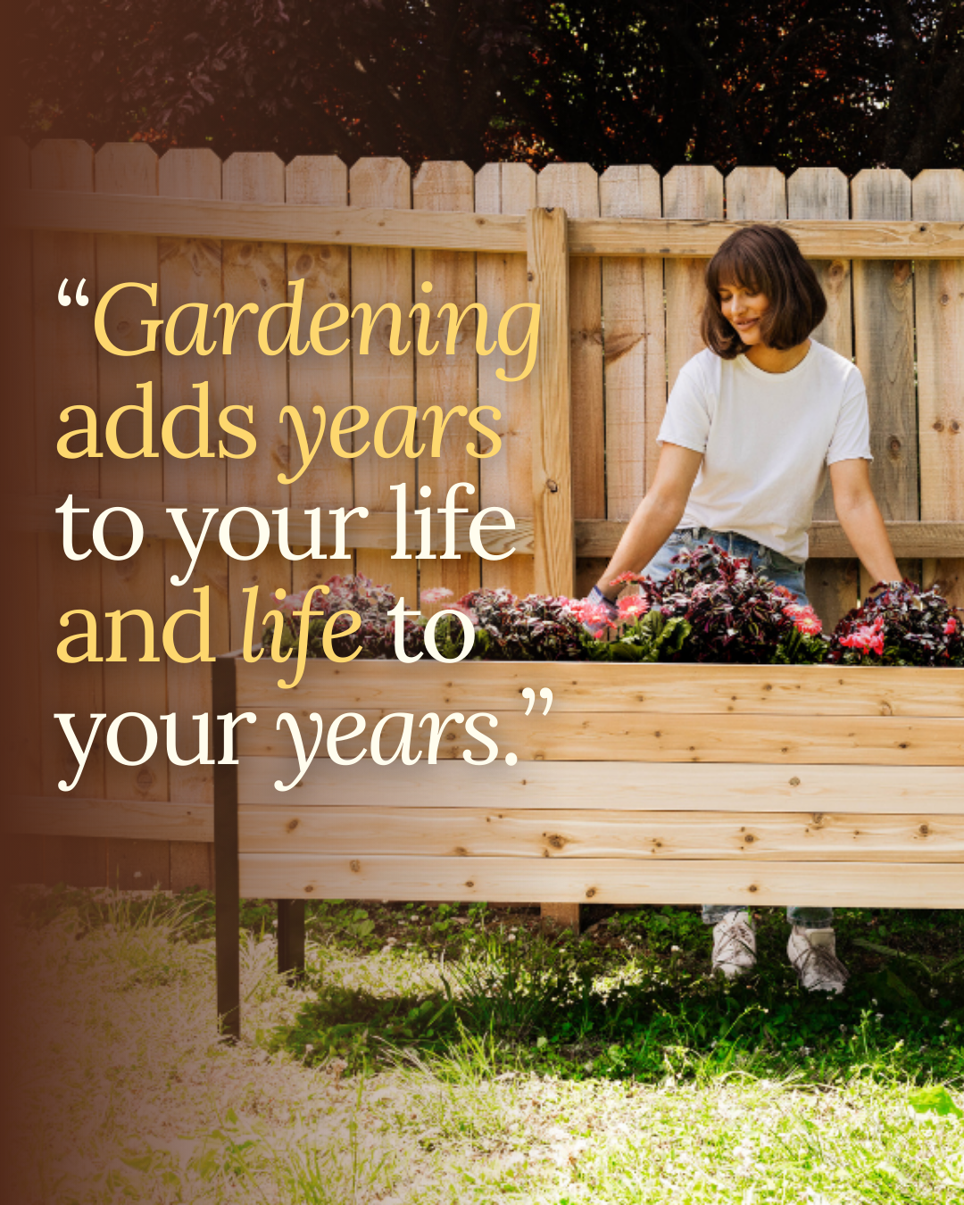 A woman in a white t-shirt gardening in a raised wooden planter box filled with colorful blooming plants, in a backyard with a wooden fence and green grass.