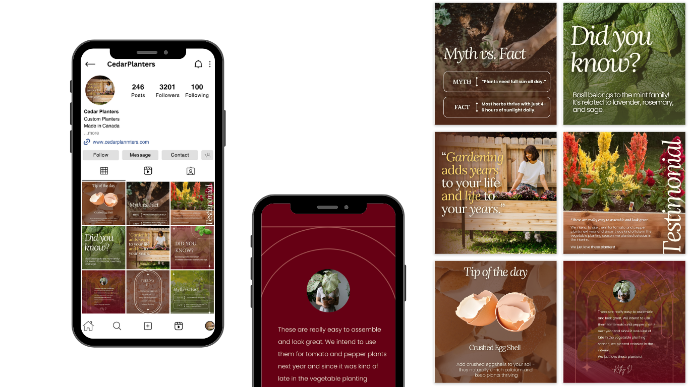 Collection of social media posts about gardening, plants, and tips, including images of eggshells, herbs, flowers, and people gardening, with text overlays.