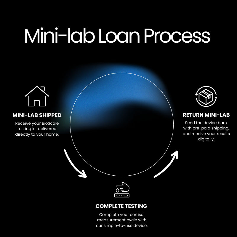 Diagram illustrating the Mini-lab Loan Process with three steps: Mini-lab shipped, Complete Testing, and Return Mini-lab, connected in a circular flow with icons representing each step.