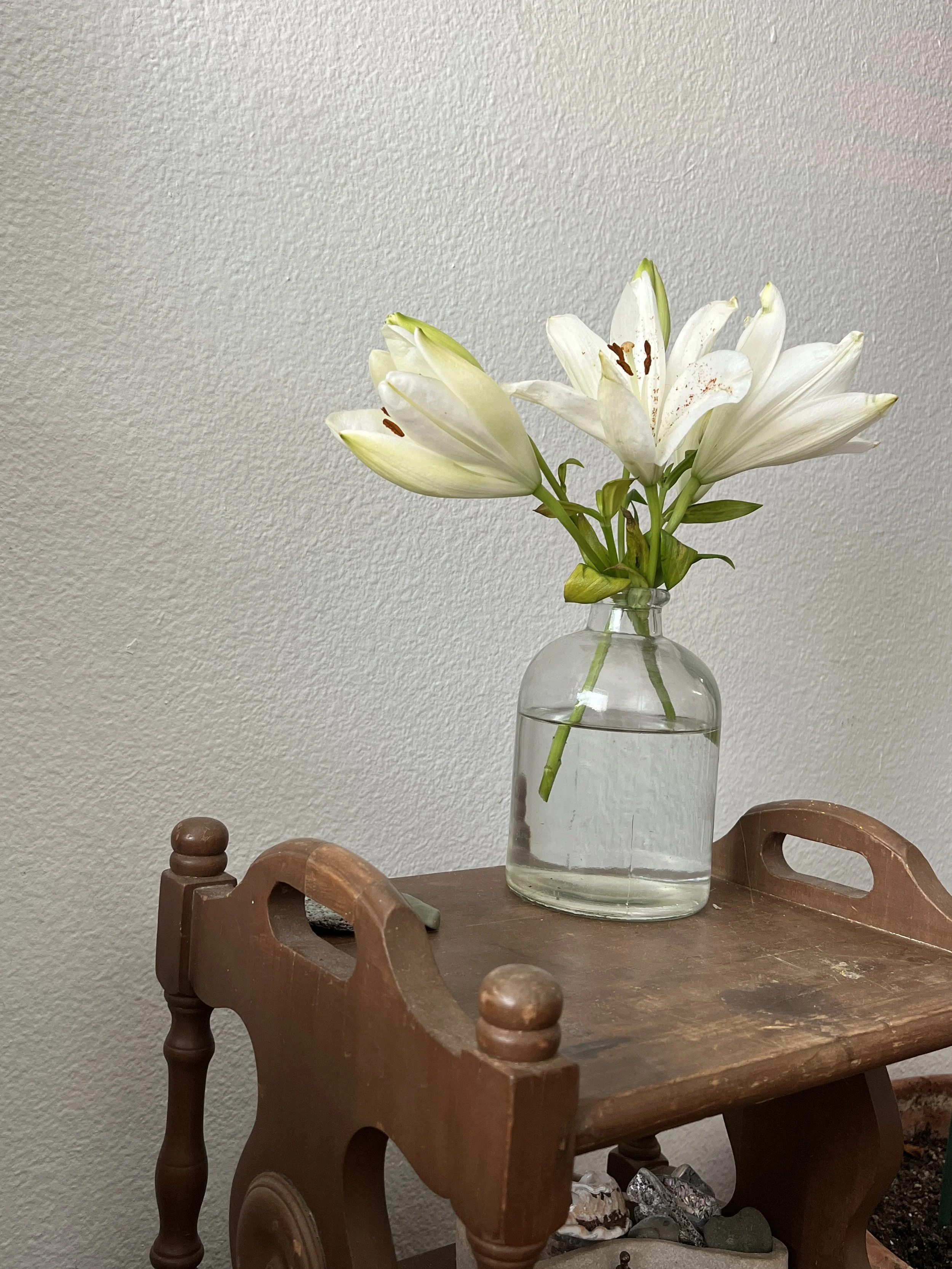 Essence of the Month - March 2026