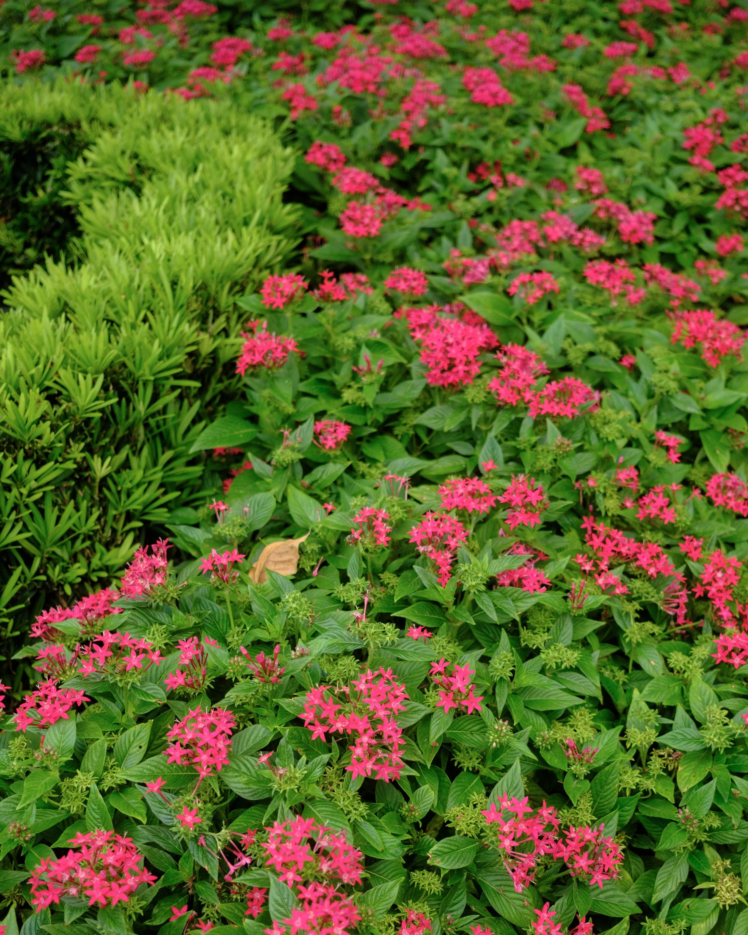 DSCF2978.jpg