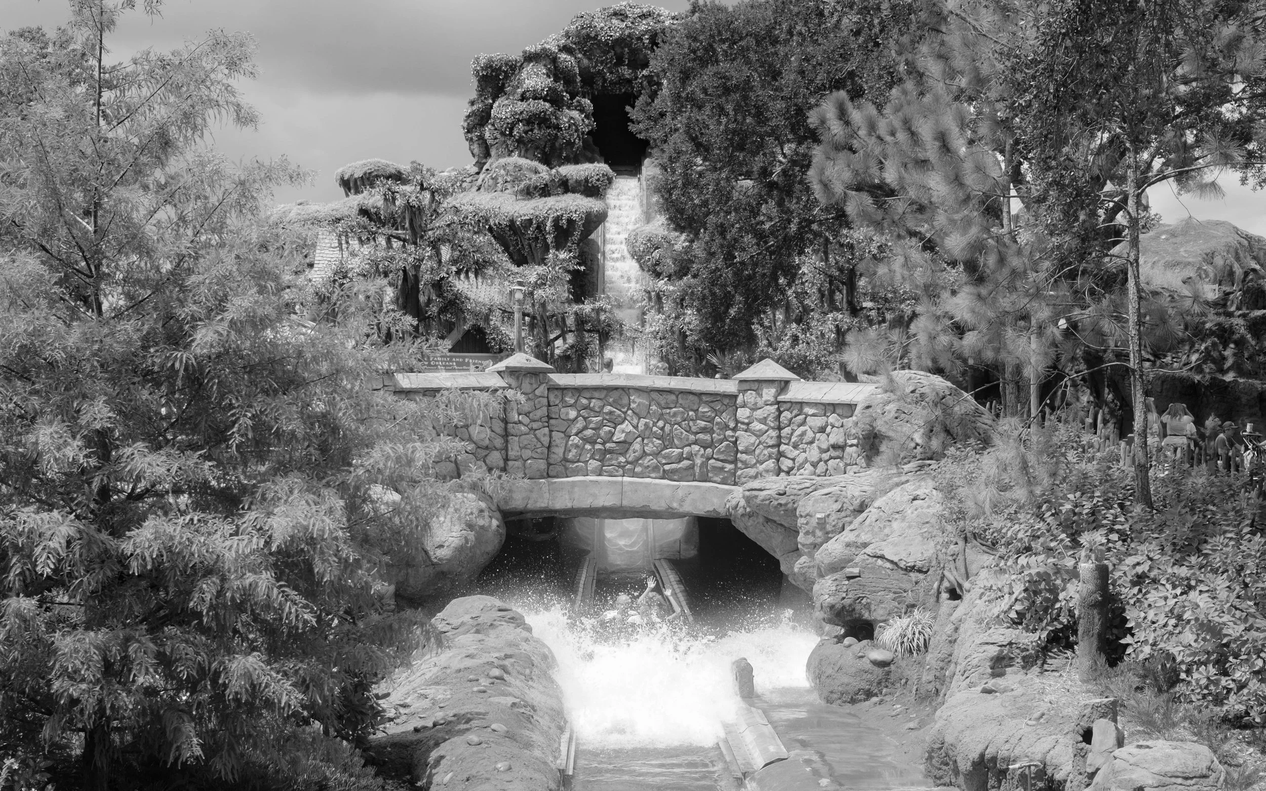 DSCF2911.jpg