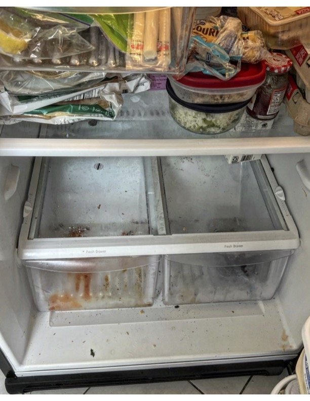 Fridge Deep Clean Before.jpg