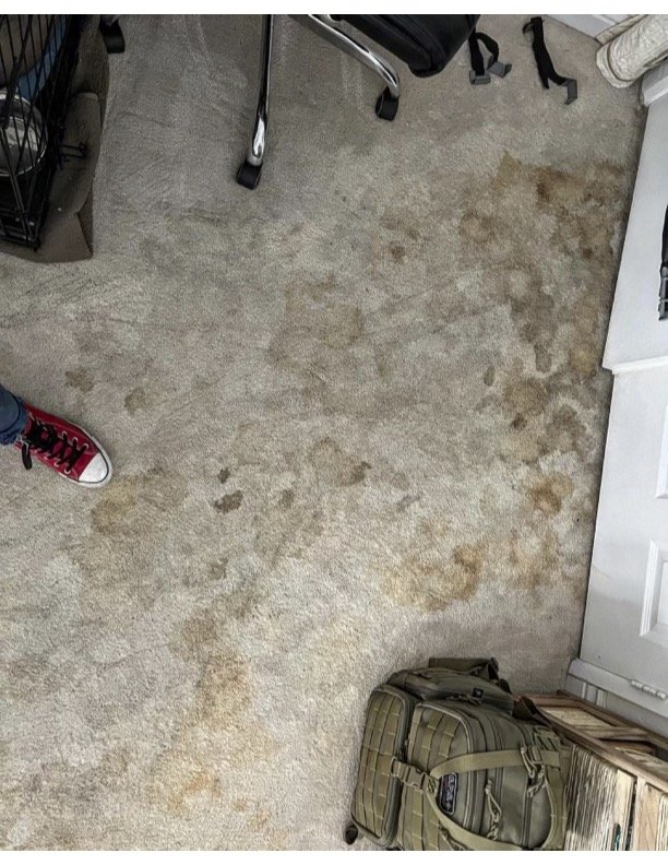 Carpet Cleaning Before.jpg