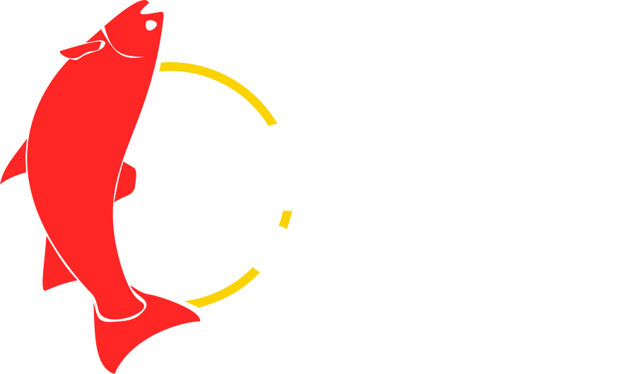 Seattle Solar Car Team