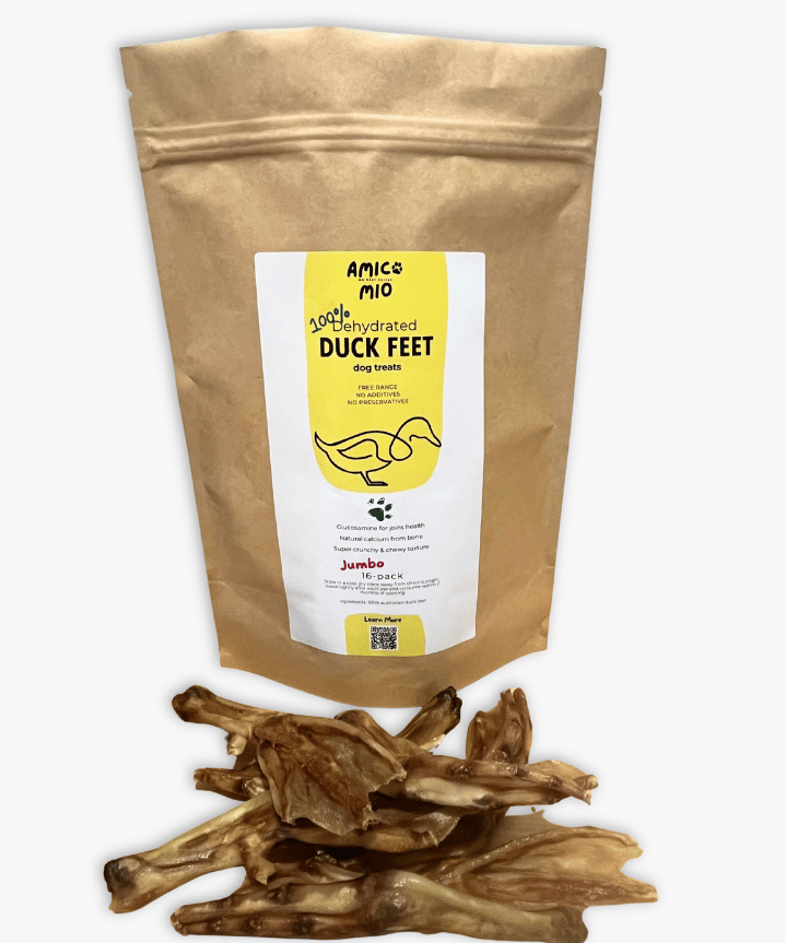 Duck Feet Jumbo (1).png