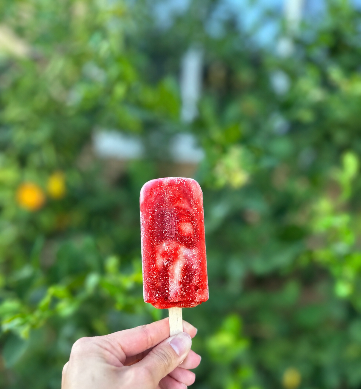 Summer Cool Down Strawberry Paletas