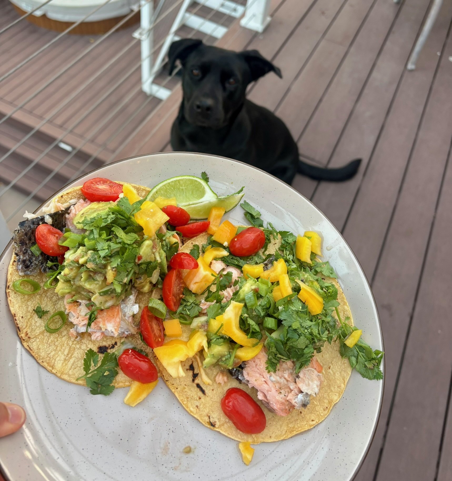 Salmon Tacos With Pineapple Guacasalsa