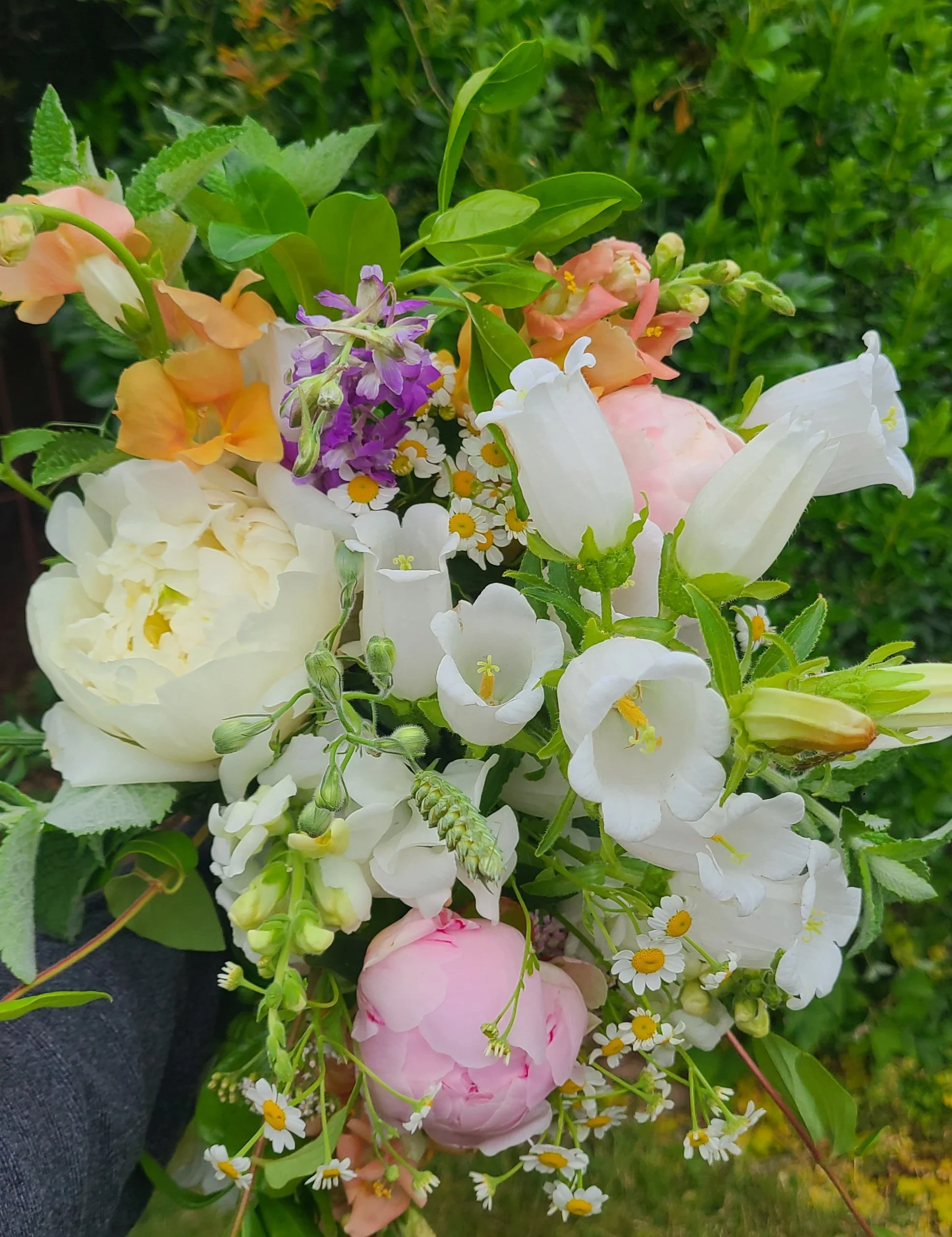 Bouquet of colorful flowers including pink, white, and magenta blossoms.
