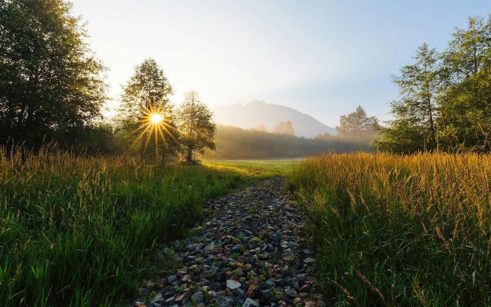 The healing power of gratitude