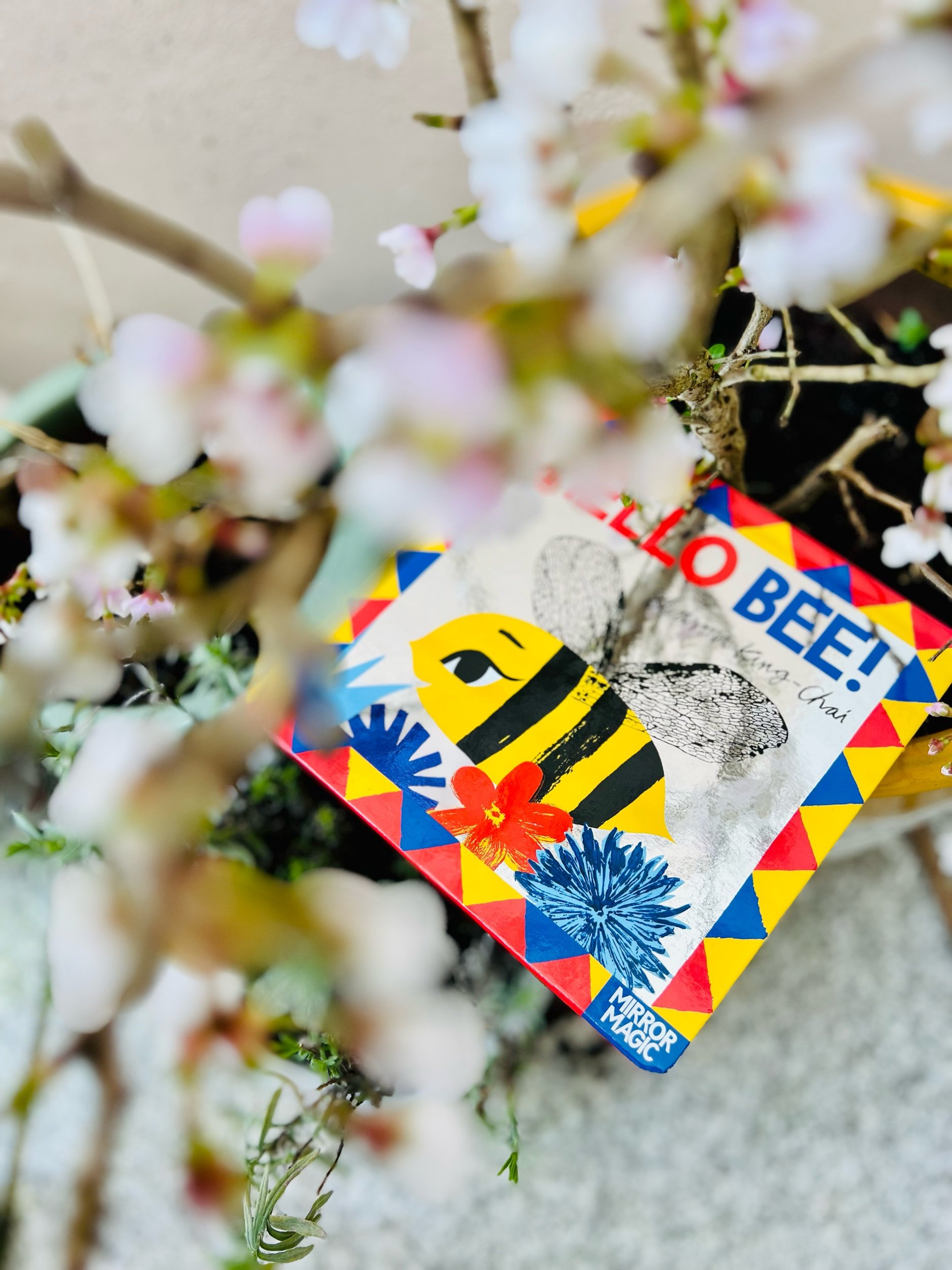 B3EA2305-5907-4A9A-BE31-DB48CE285A0A.jpeg