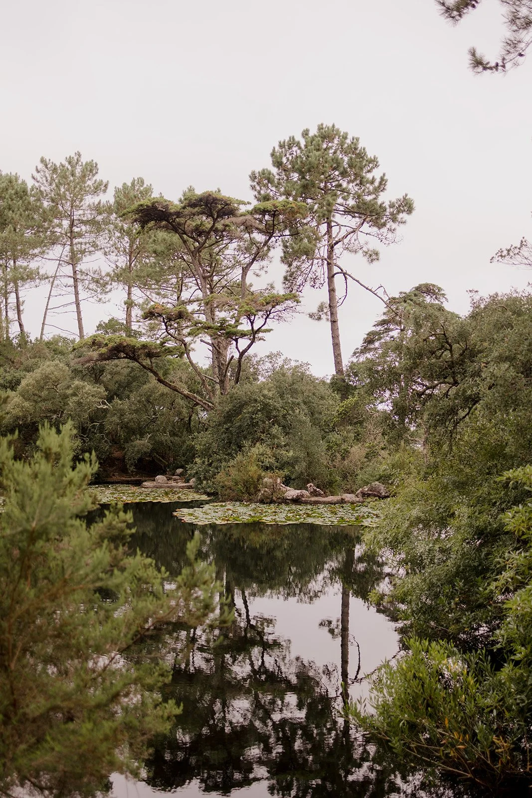 Caminhada - Astrologia &amp; Discernimento Espiritual