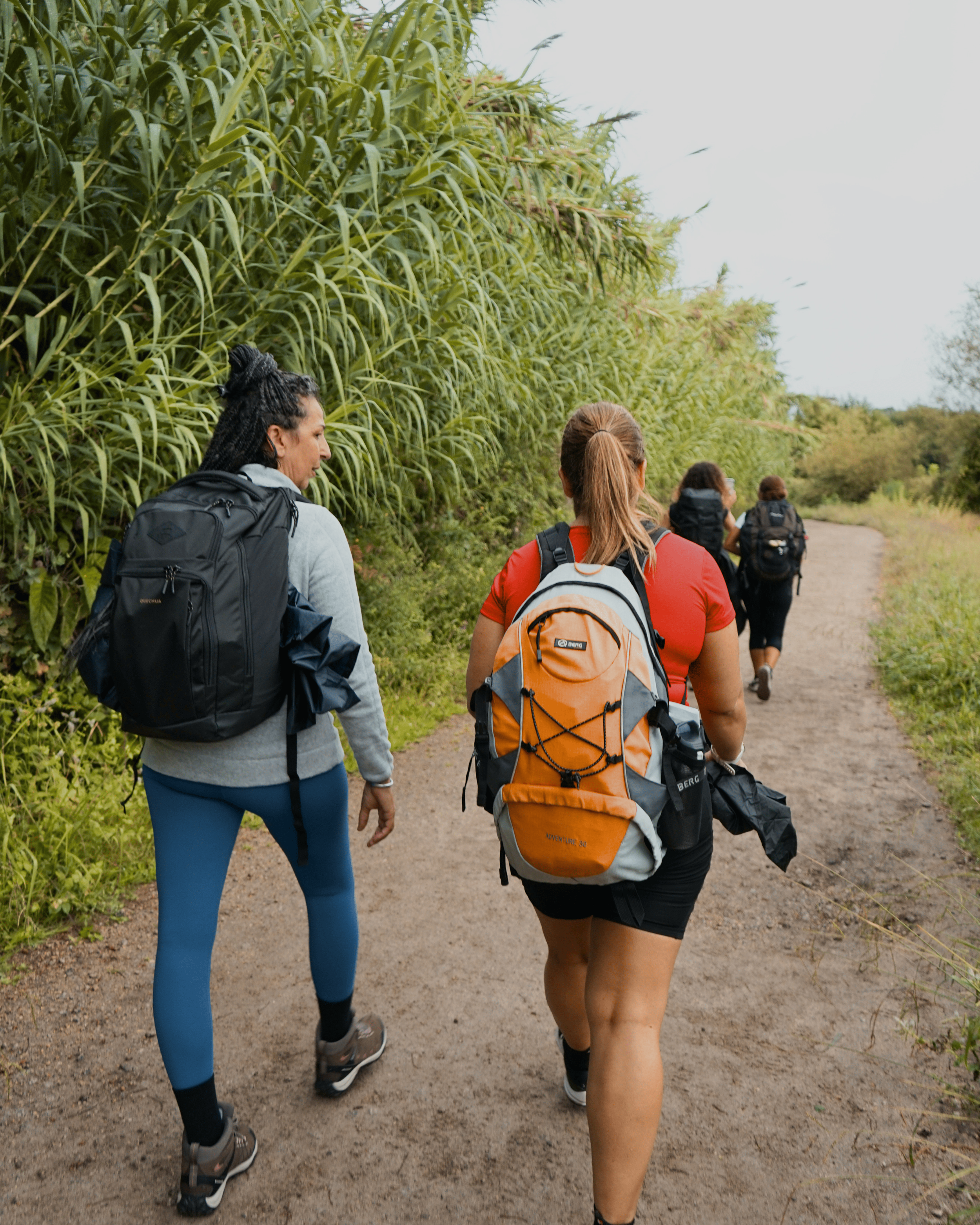 Caminho de Santiago | Português Via Espiritual