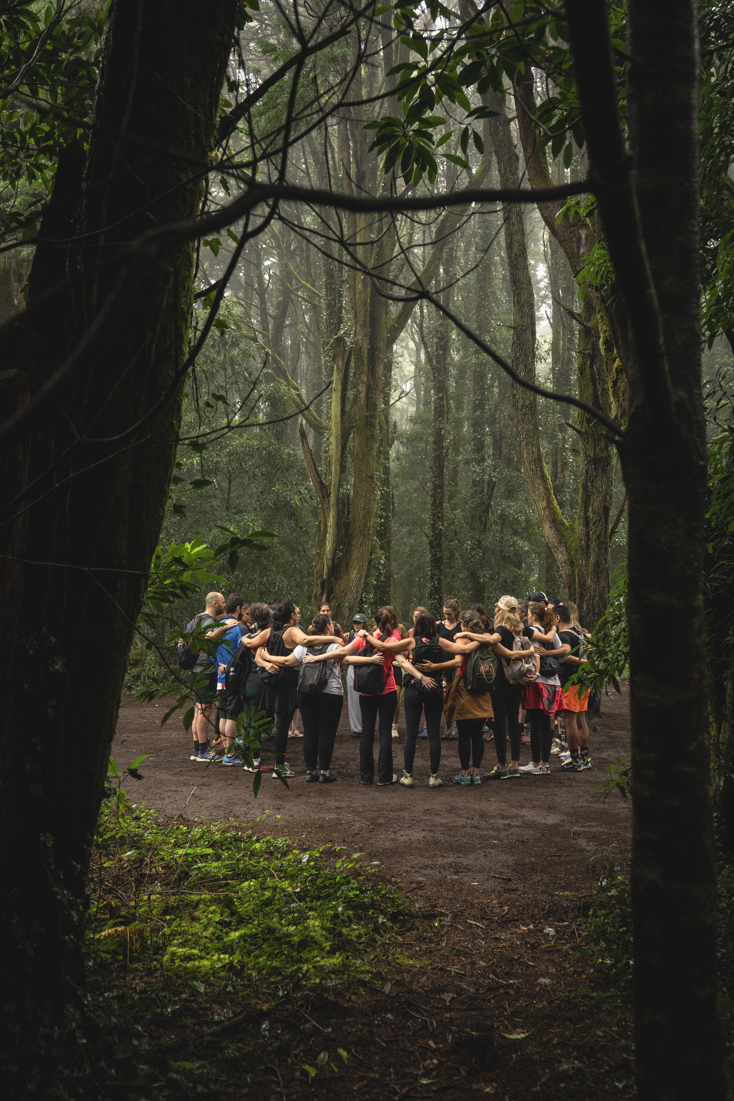 Caminhada | Caminho para o Centro