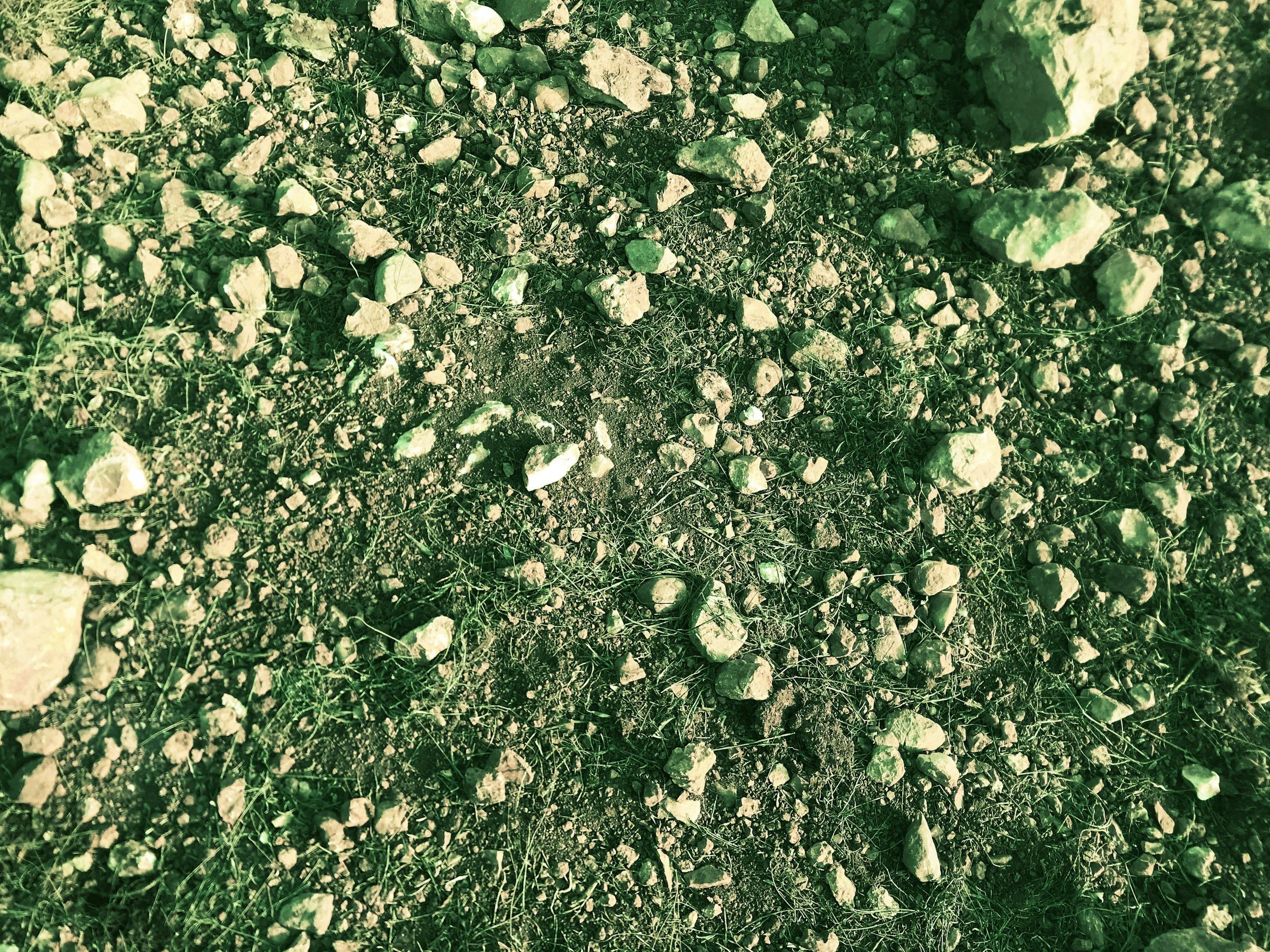 Sol rocailleux avec des petites pierres et quelques herbes sèches