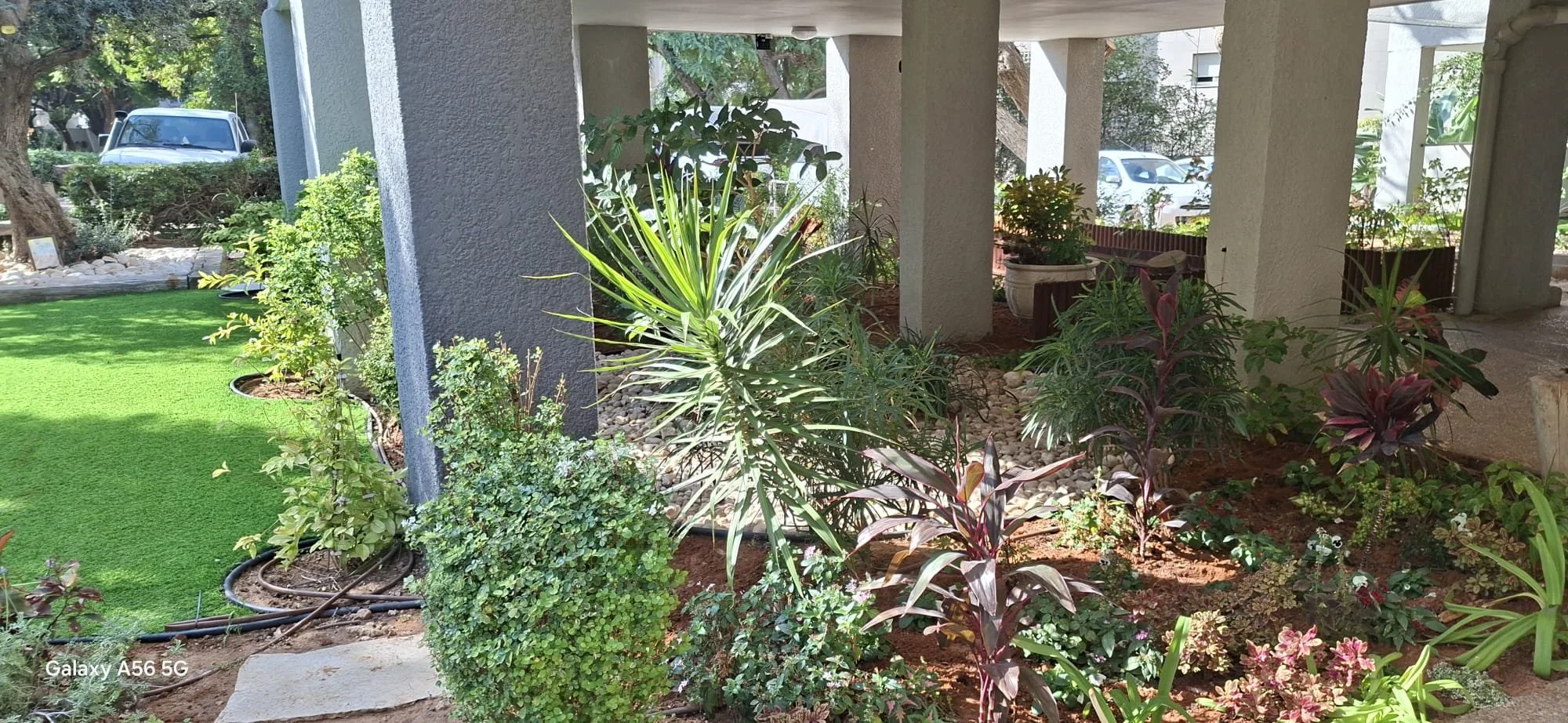 WhatsApp Image 2026-03-23 at 06.44.03.jpeg