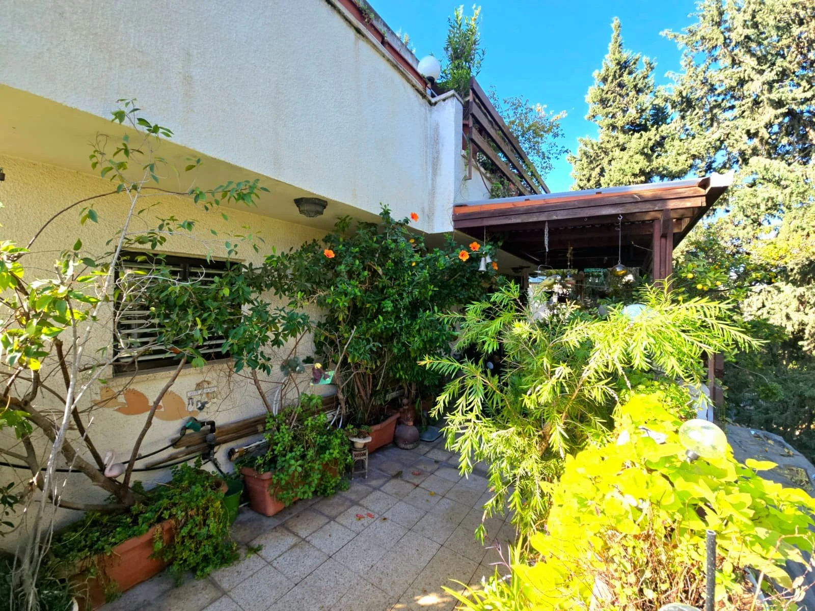 WhatsApp Image 2026-01-01 at 10.14.09.jpeg