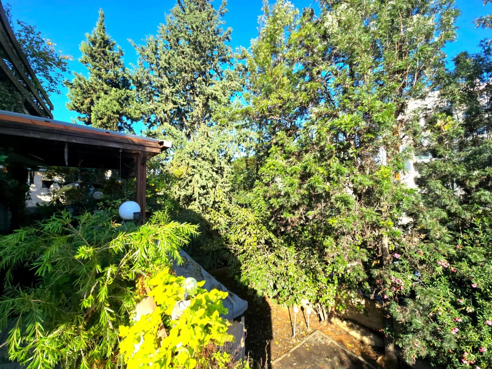 WhatsApp Image 2026-01-01 at 10.13.59.jpeg