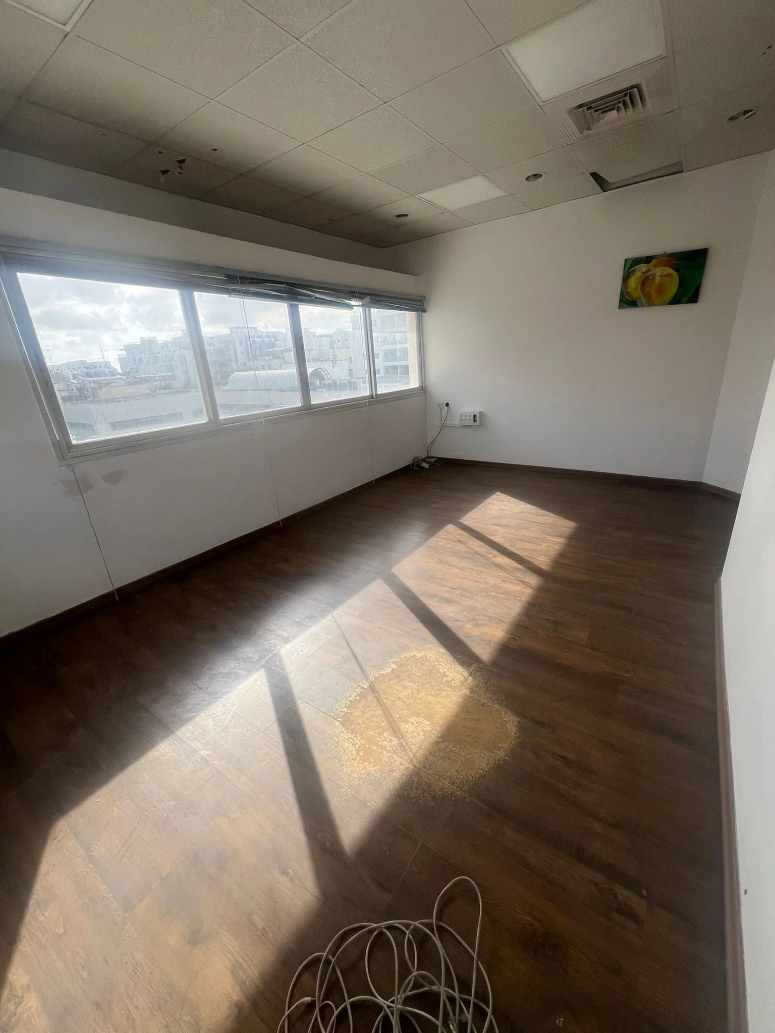 WhatsApp Image 2026-02-11 at 08.39.58.jpeg