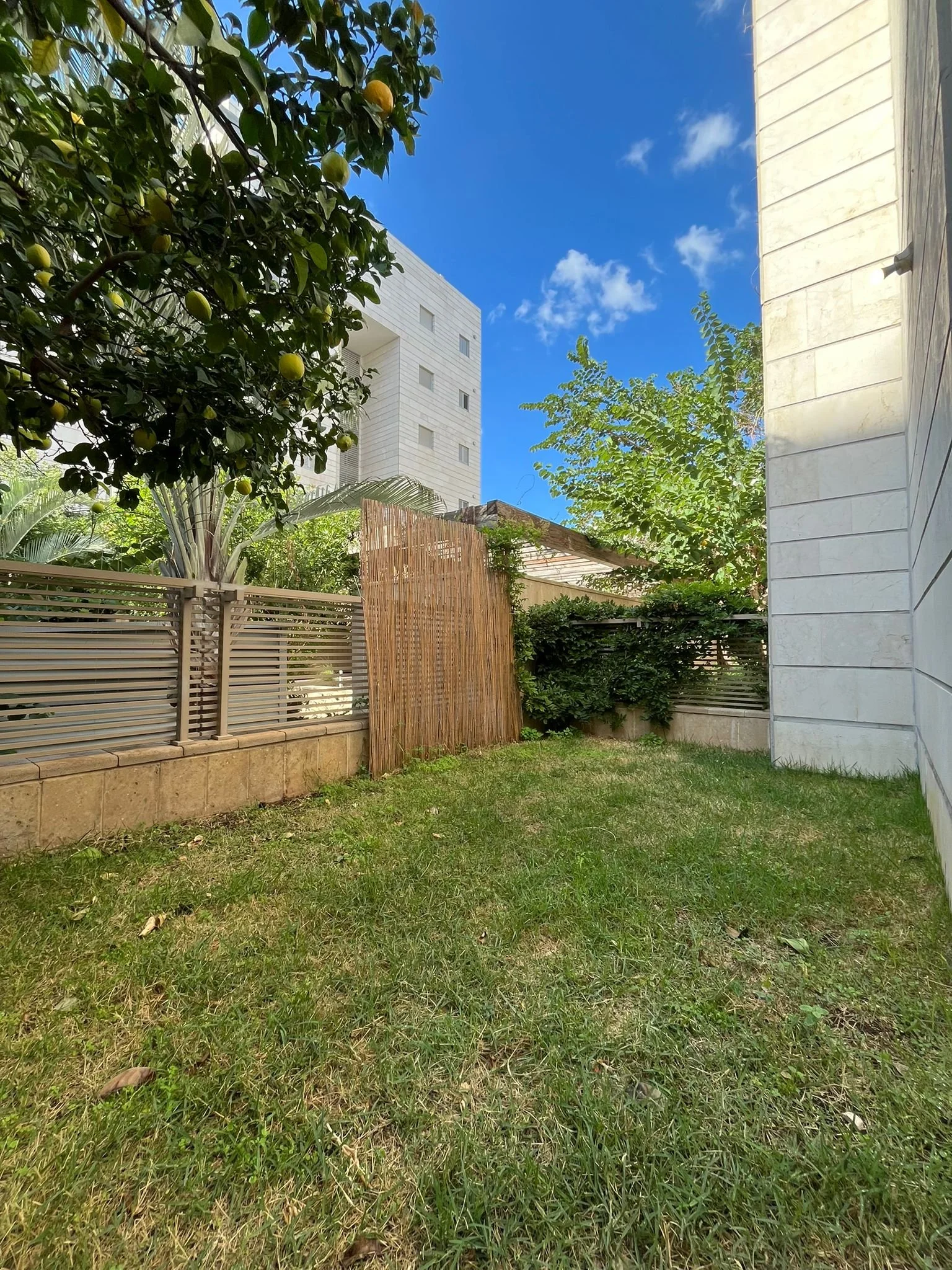 WhatsApp Image 2026-01-01 at 10.09.09.jpeg