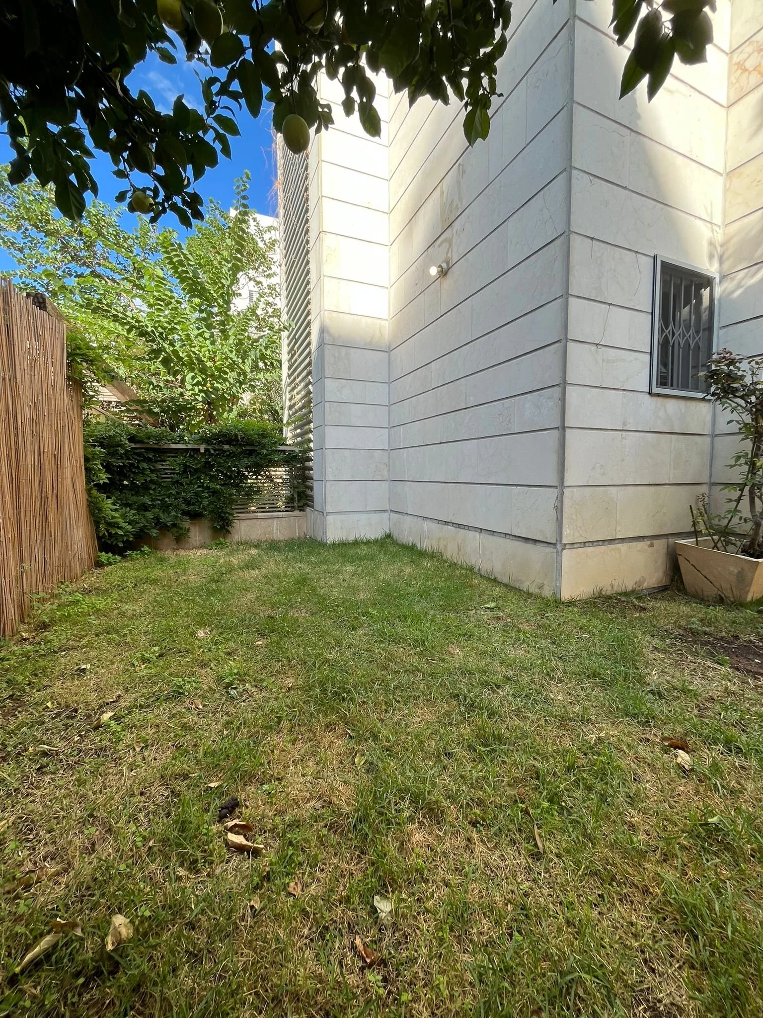 WhatsApp Image 2026-01-01 at 10.09.11.jpeg