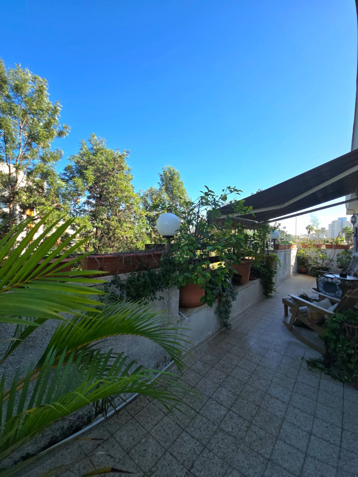 WhatsApp Image 2026-01-01 at 10.13.35.jpeg