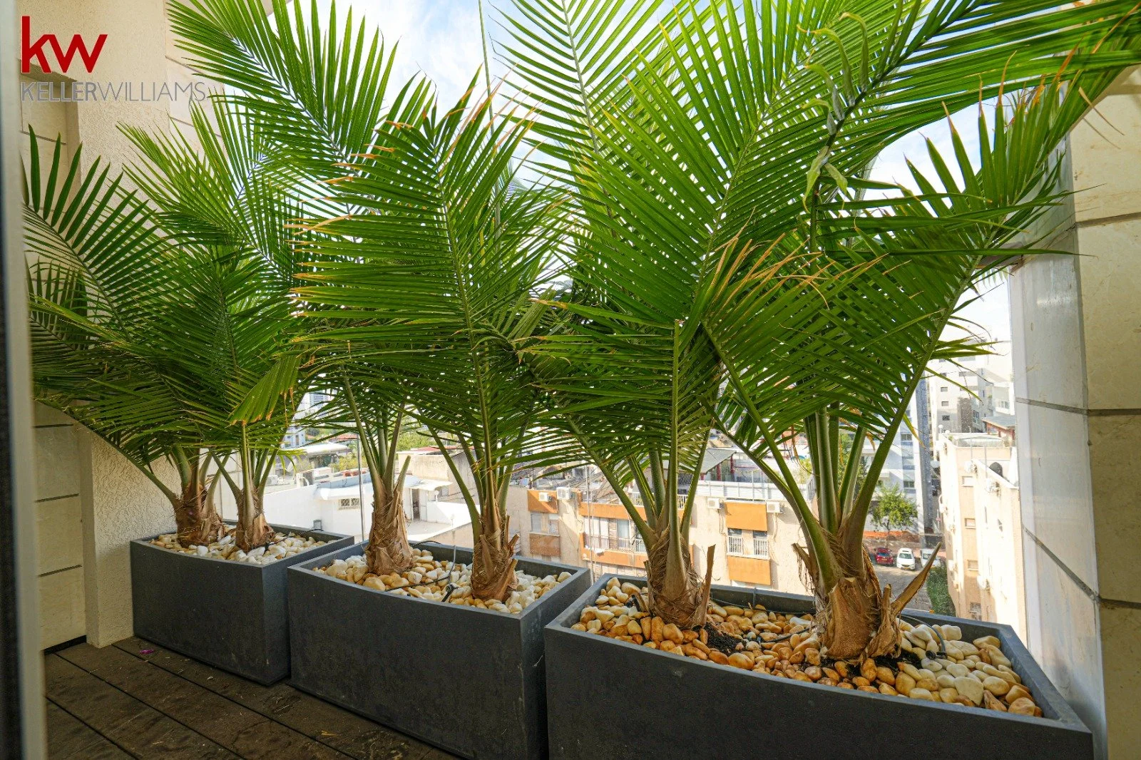 WhatsApp Image 2025-12-09 at 01.45.20_2b0cbf87.jpg