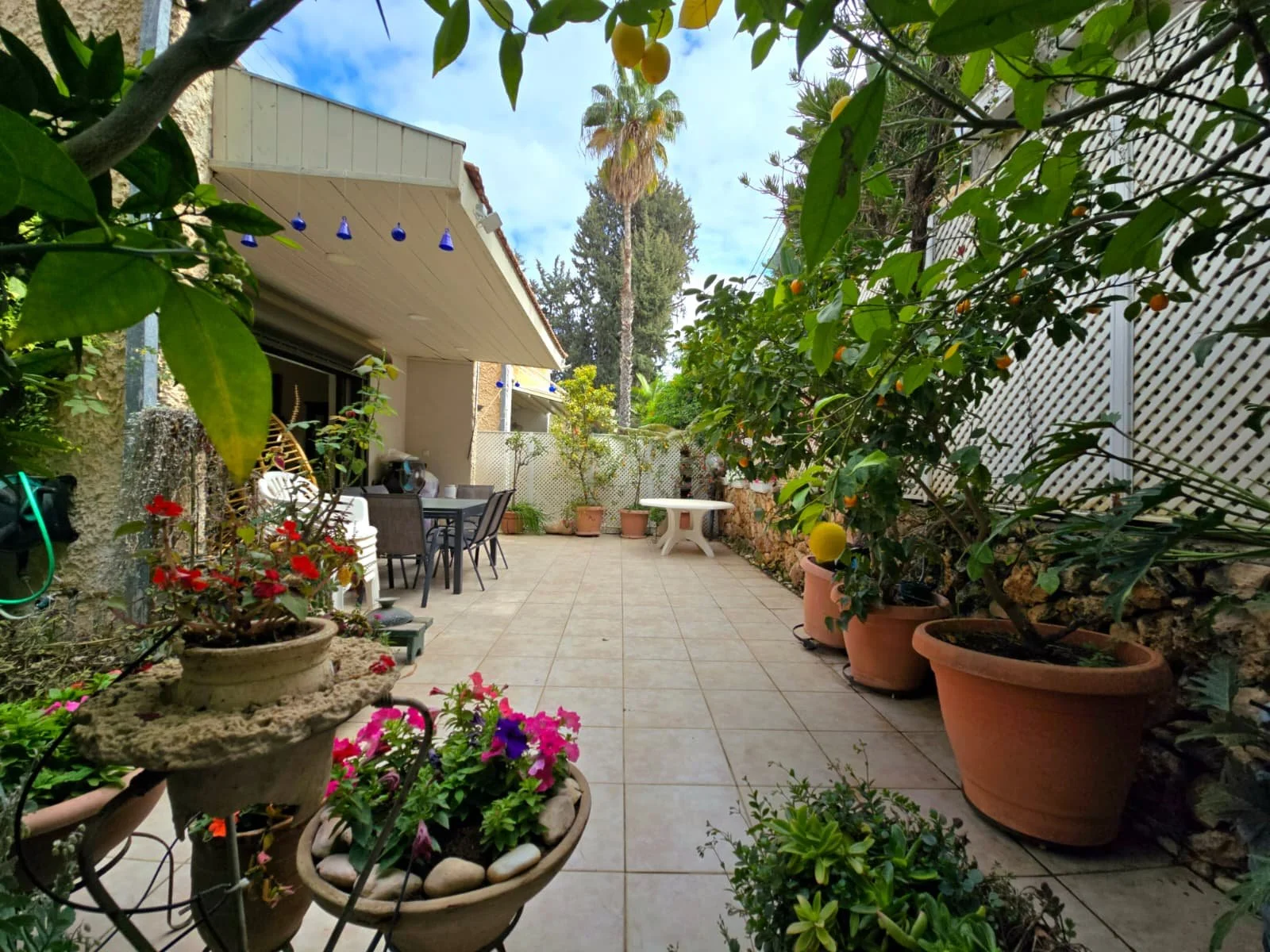 קוטג' 6 חדרים ברחוב עקיבא 6,300,000 ש"ח