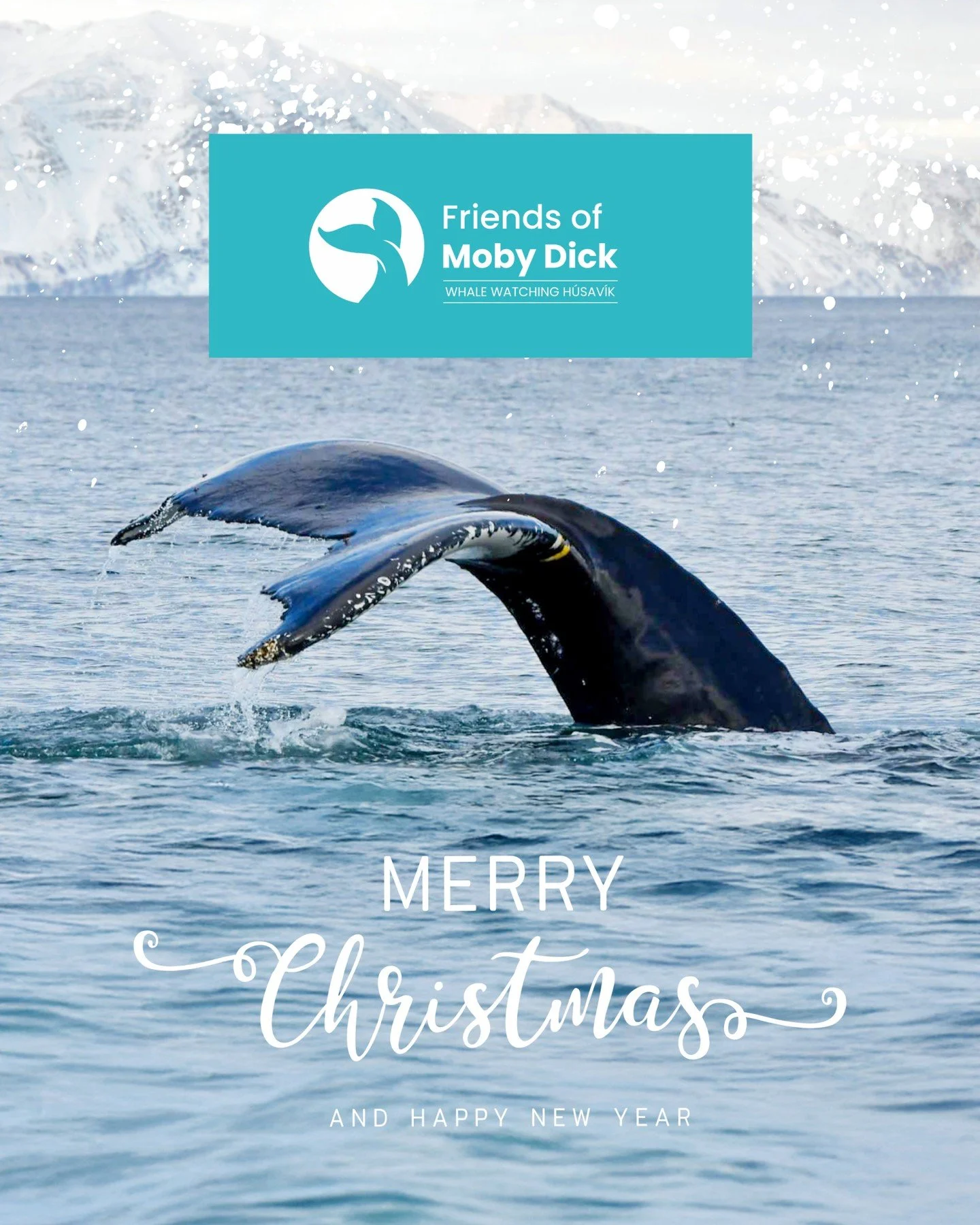 In this joyful time of the year, we&rsquo;re sending Christmas wishes from our family to yours.

Thank you for being part of our journey this year - sharing unforgettable moments with us at sea, sailing with us, cheering from afar, and supporting our
