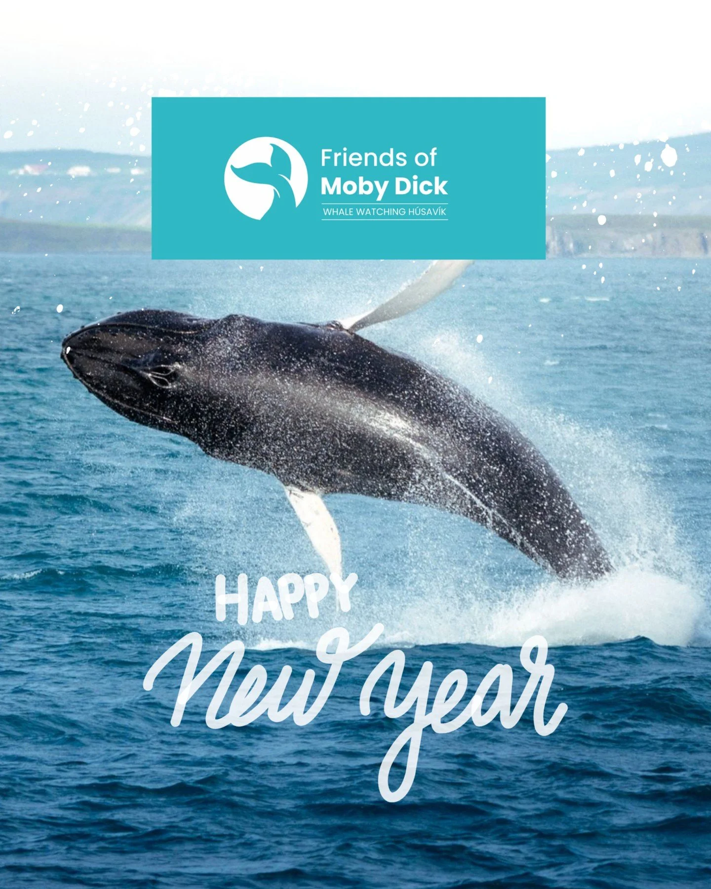 As the year comes to an end, we&rsquo;re feeling incredibly grateful.

2025 brought new beginnings, unforgettable encounters, and many miles sailed across Skj&aacute;lfandi Bay. We welcomed Vinur, our new boat from Norway - built for Arctic condition