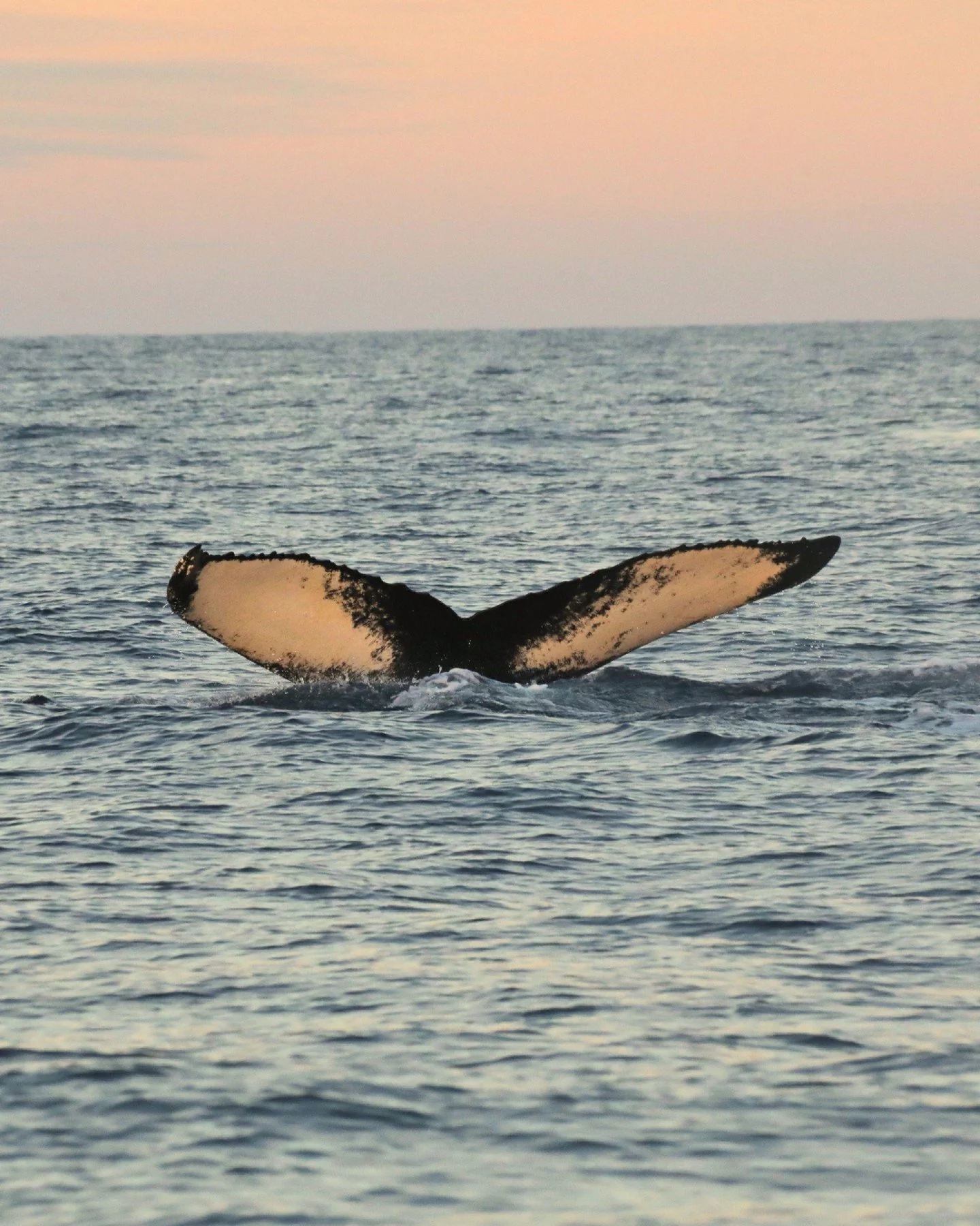 It&rsquo;s been a few quiet weeks, we have been in full preparations mode for the upcoming season and we will have some great news to share soon. While we can&rsquo;t wait to start sailing again, here&rsquo;s few more beautiful pictures taken on our 