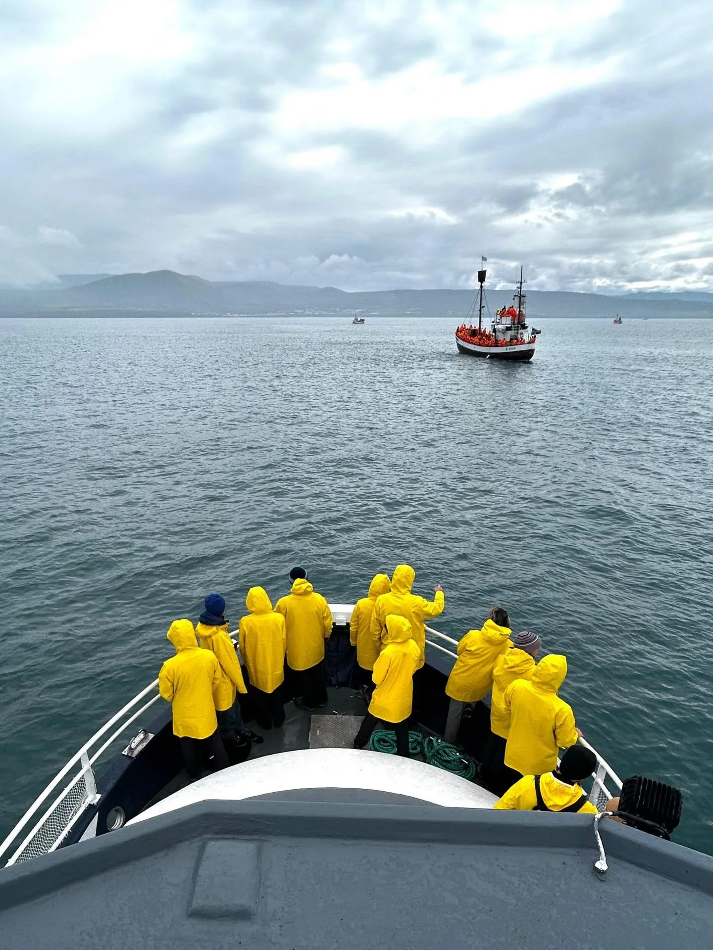 Winter refuses to leave H&uacute;sav&iacute;k. On 20th of March, we were meant to officially start the 2026 whale watching season but the weather had other plans. Sadly we were forced to cancel our tours yesterday and today due to unfavourable sea co