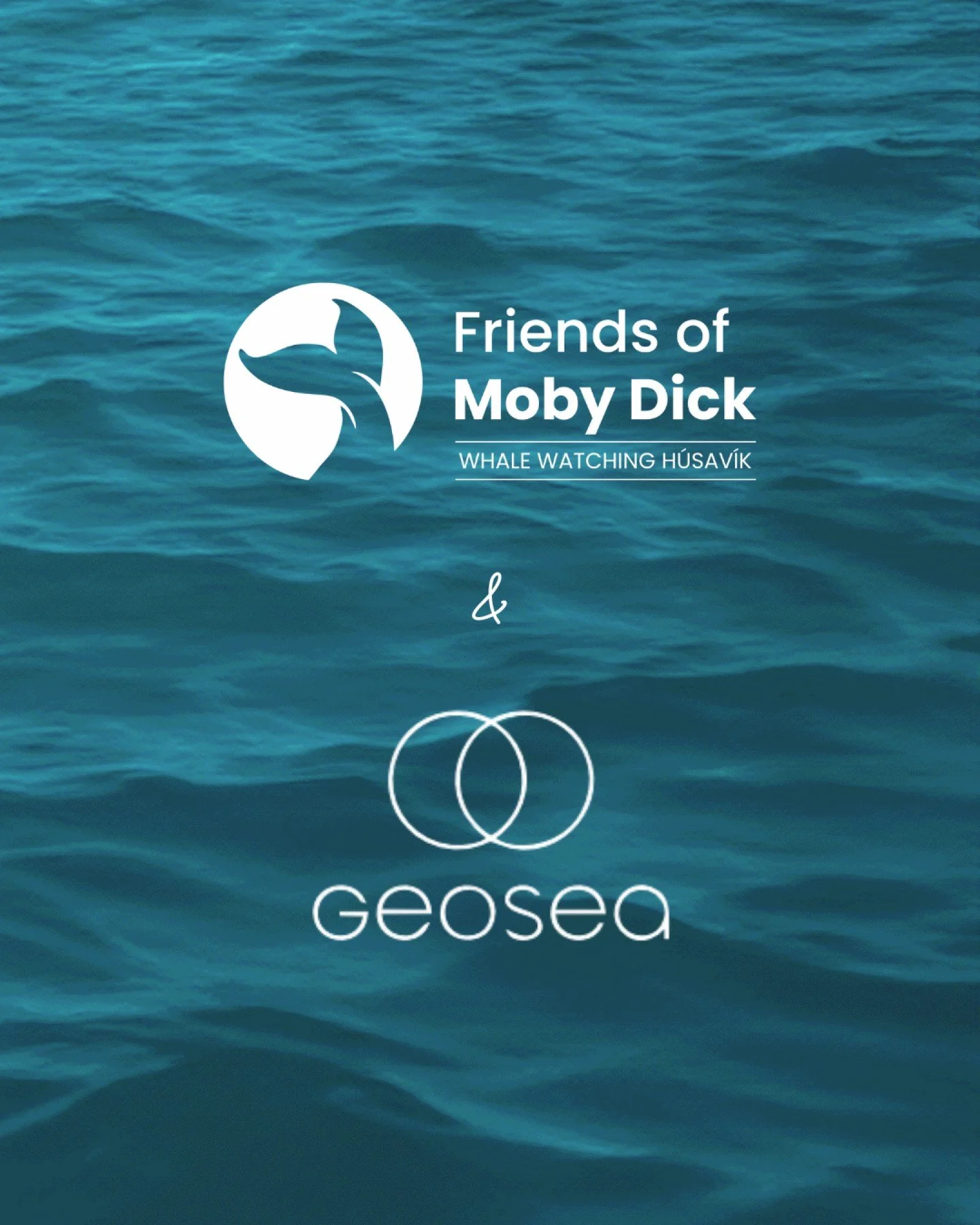 After time out on the bay, there&rsquo;s nothing better than warming up!

That&rsquo;s why we&rsquo;ve teamed up with GeoSea Geothermal Sea Baths - one of the most unique places to relax in H&uacute;sav&iacute;k, with infinity pools overlooking Skj&a