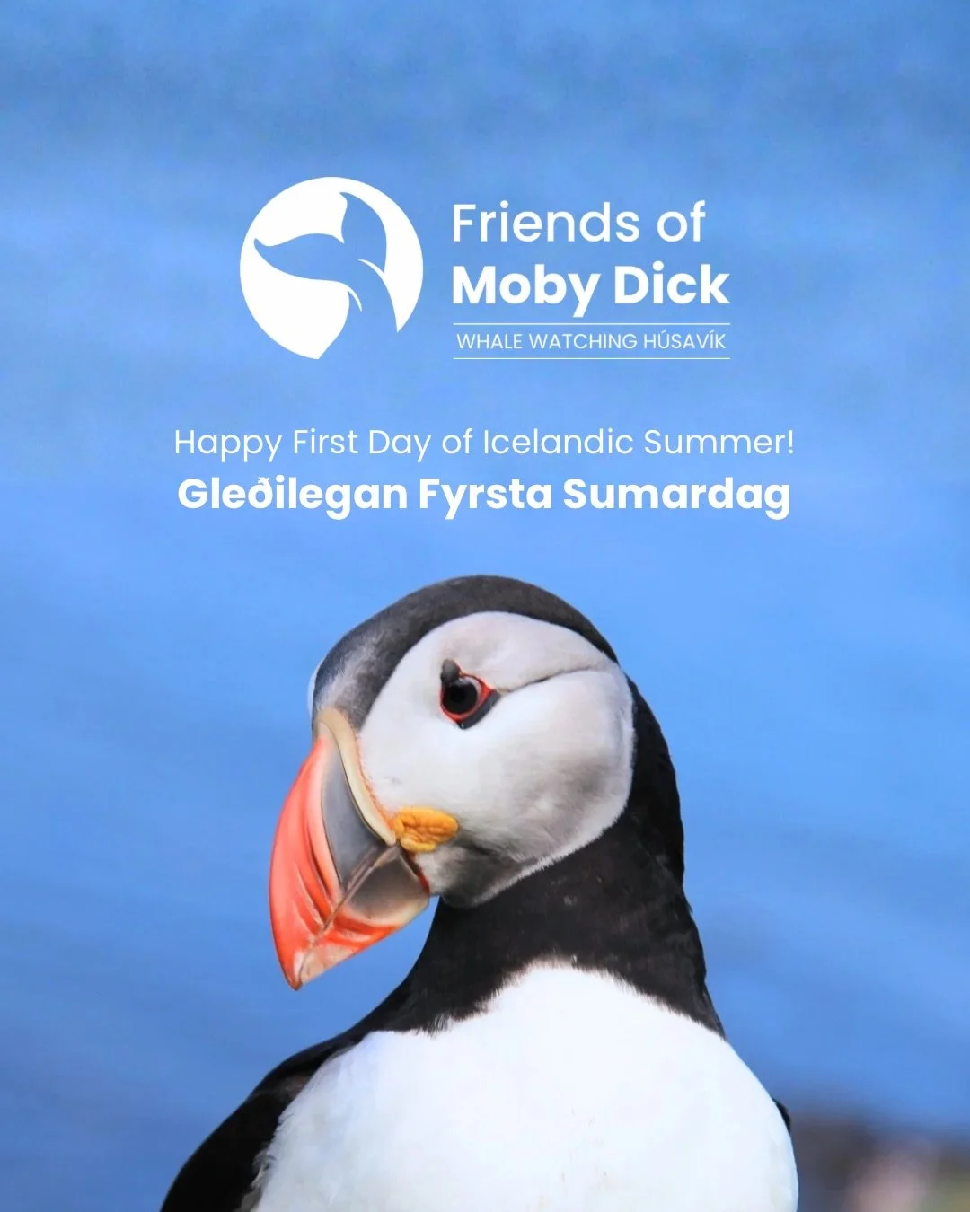 Gle&eth;ilegt Sumar!

Today marks the First Day of Summer &ldquo;Sumardagurinn fyrsti&rdquo; and it&rsquo;s celebrated in Iceland every year on 23rd of April.

It might not always look like summer just yet, especially here in H&uacute;sav&iacute;k bu