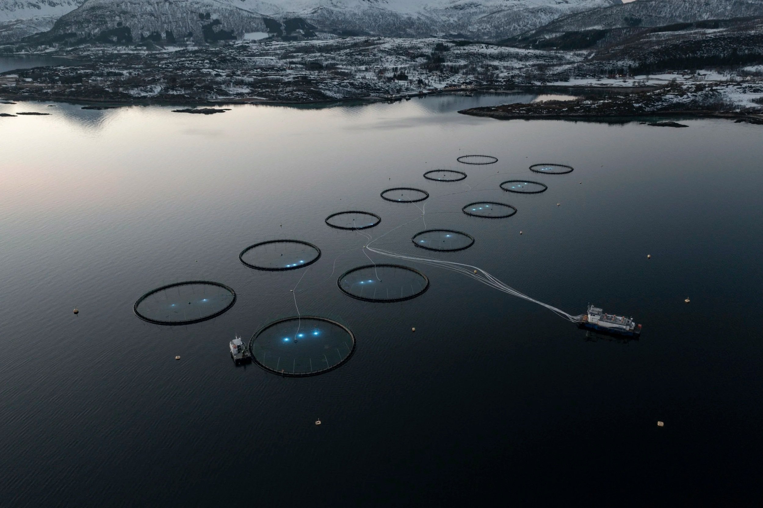 Aerial view of a large water body with circular structures, fish pens for salmon farming, and boats, surrounded by snow-covered land and mountains in the background.