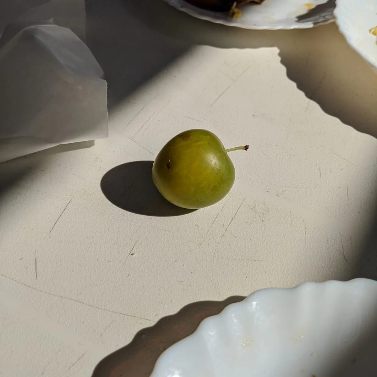 #fruit