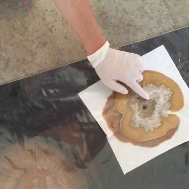 chromatography pt II 🤍