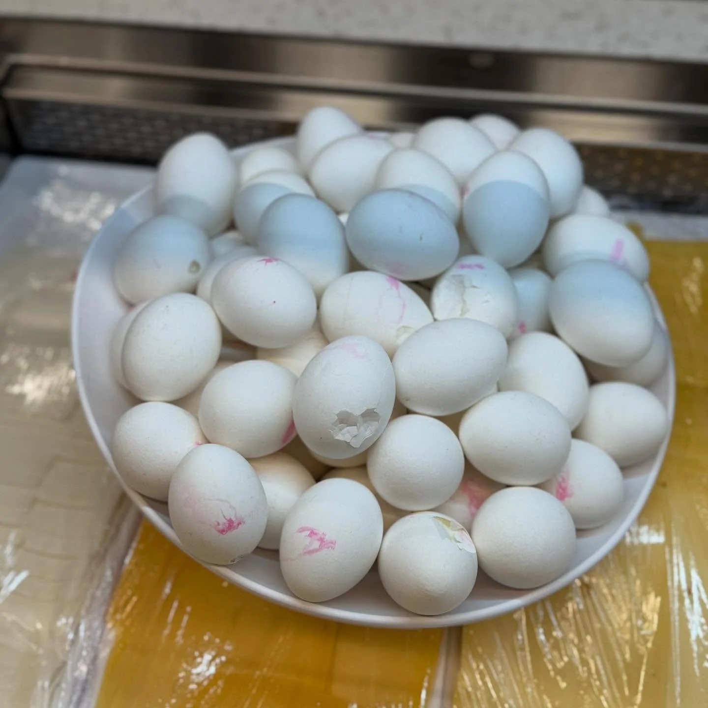 protein 🥚 🥚 🥚