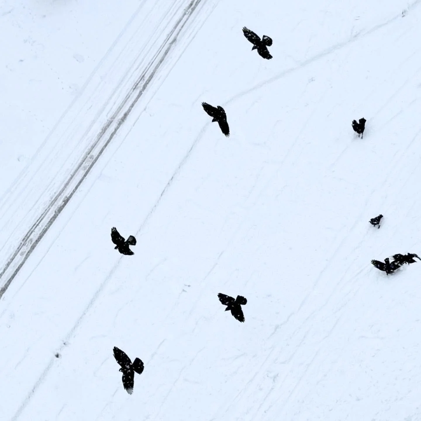 where should I really even start..