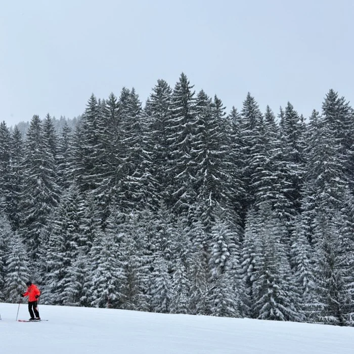 snow dump 
.
.
.
.
.
#ski #snow #powder #fyp