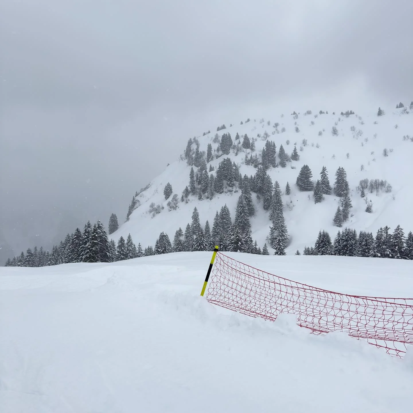 le r&ecirc;ve pt2
.
.
.
.
.
#snow #mountainphotography #photography #fyp