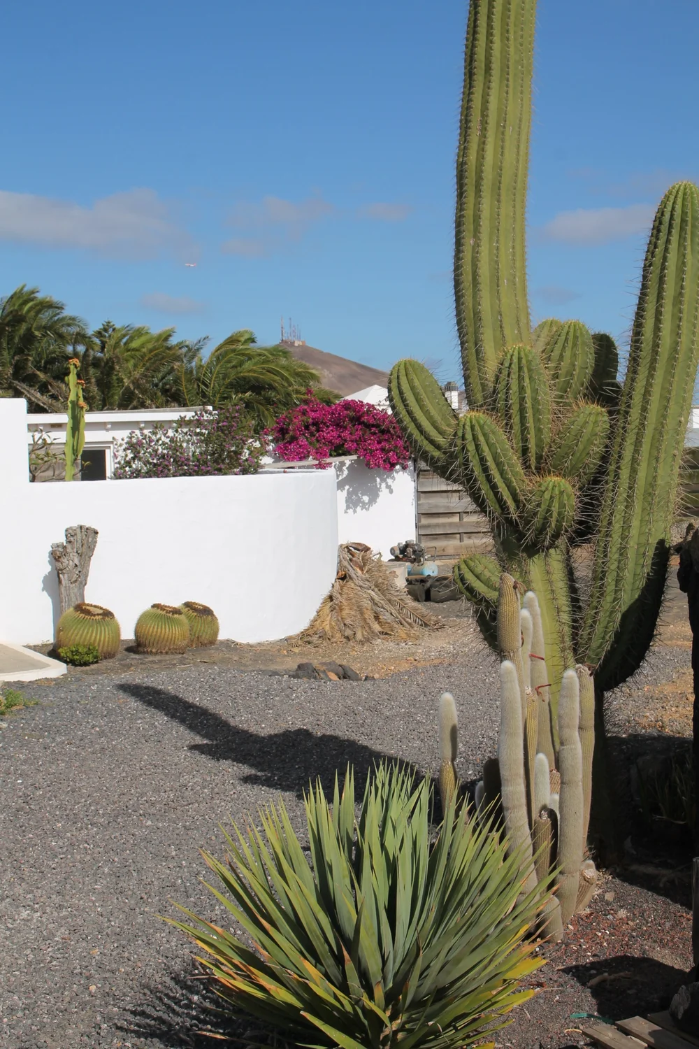 monocylindre_NestorCurbelo