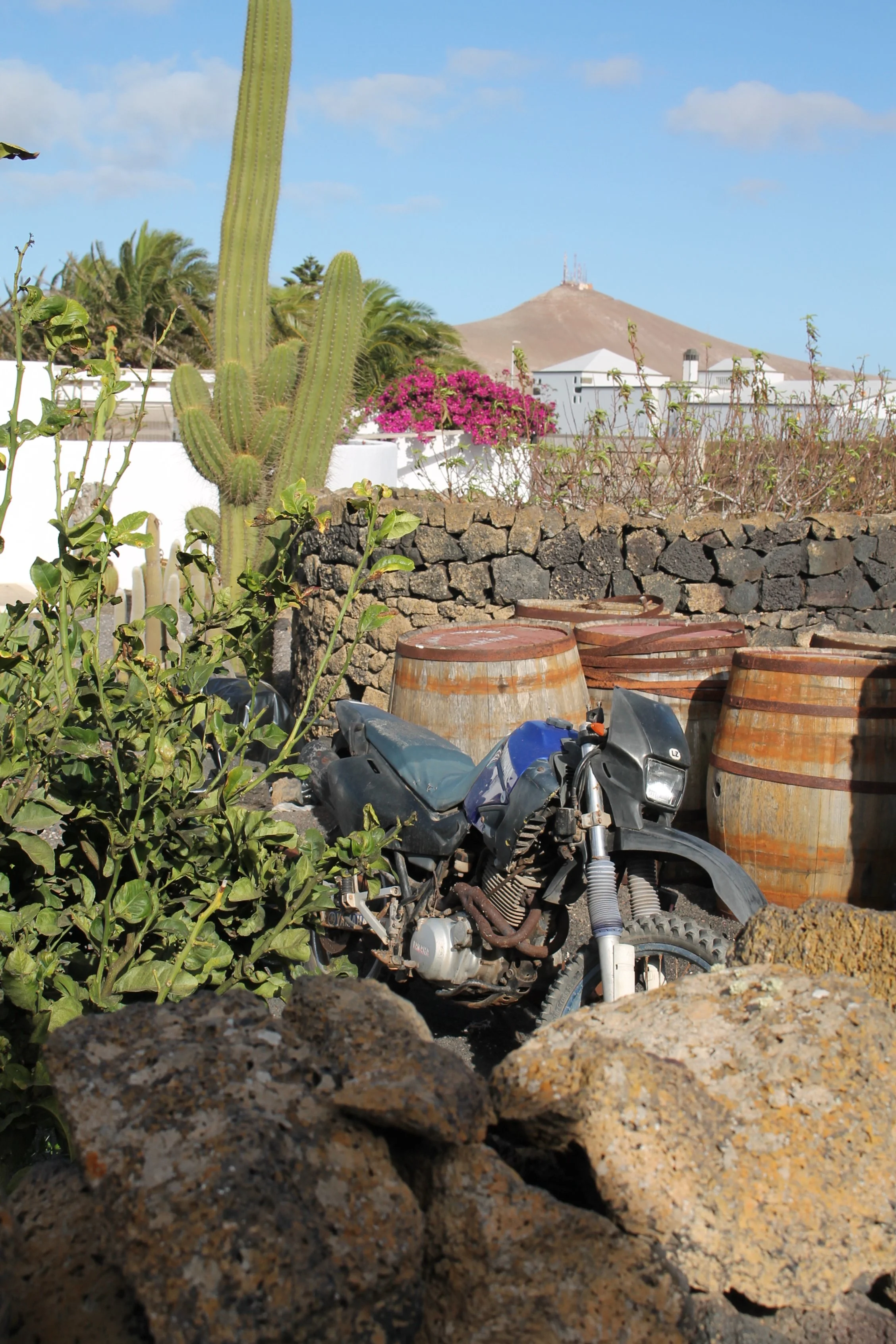 monocylindre_NestorCurbelo