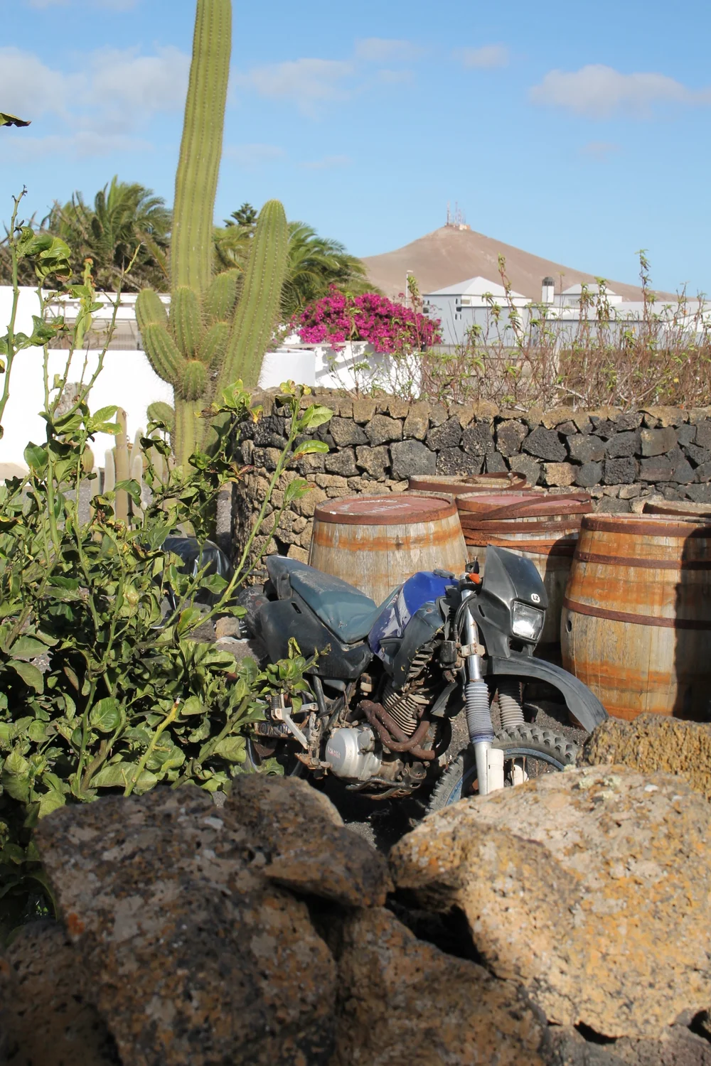 monocylindre_NestorCurbelo