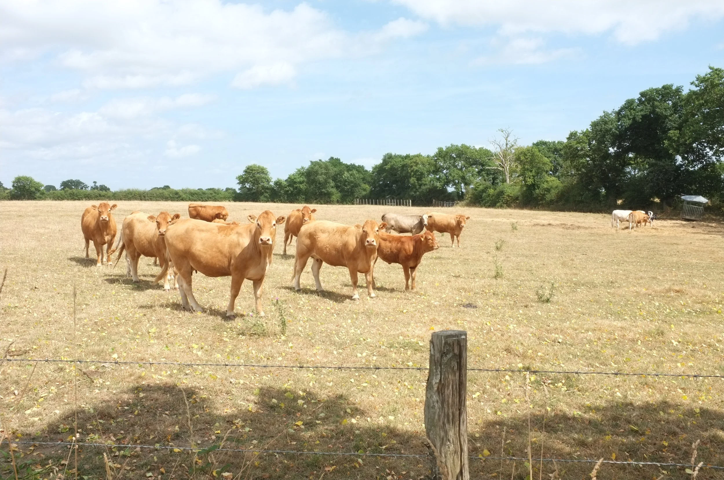 credits monocylindre.fr