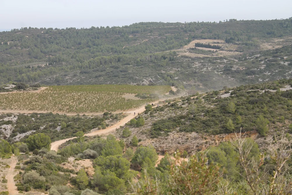 credits monocylindre XR600R AMV GREEN RALLYE