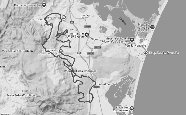 credits monocylindre XR600R AMV GREEN RALLYE