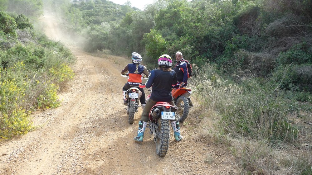 credits monocylindre XR600R AMV GREEN RALLYE