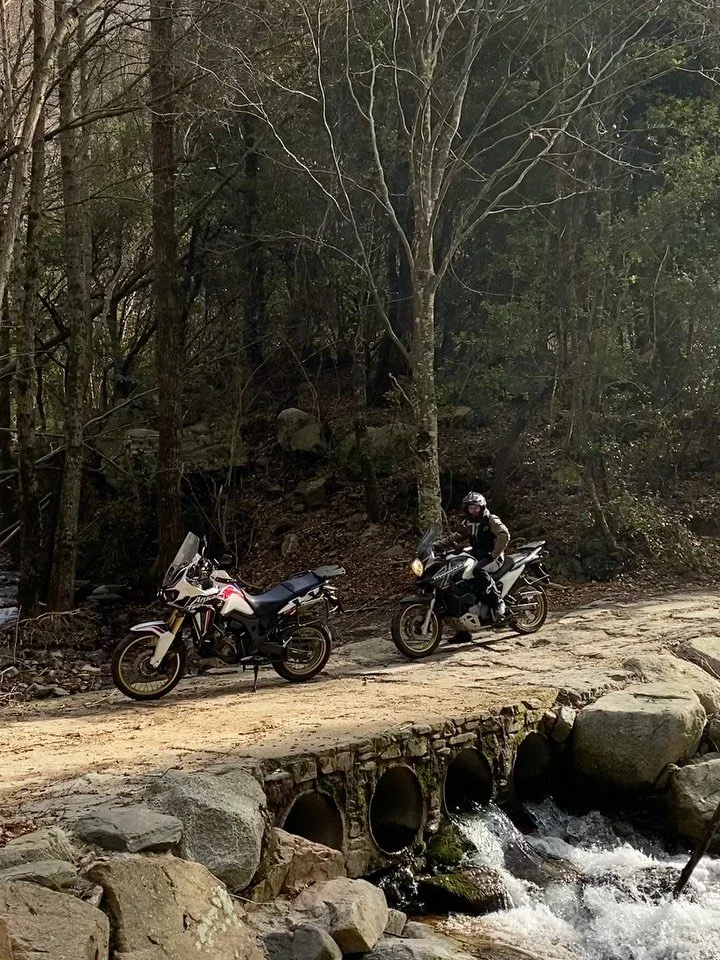 Un beau dimanche en Catalogne avec @francois.priam 🌲

La derni&egrave;re vaut le coup d&rsquo;oeil 🐥

#transalp750 #africatwin #afticatwin1000 #endurotrails