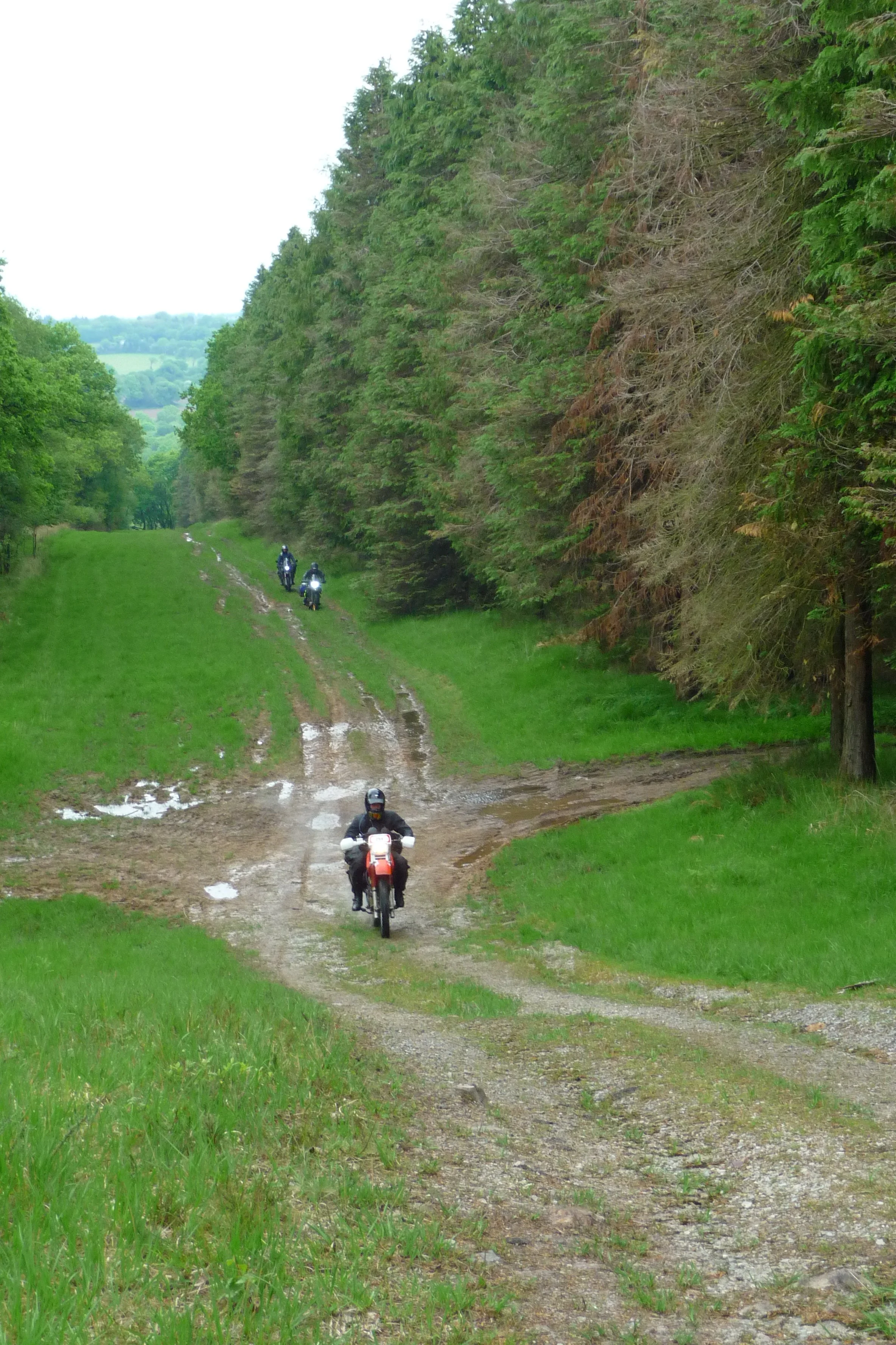 P1050267.JPG